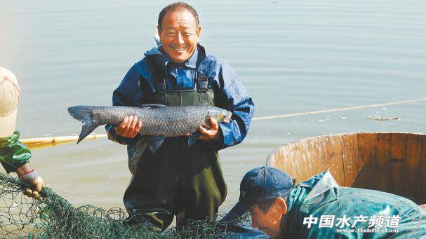 六合资面料大全