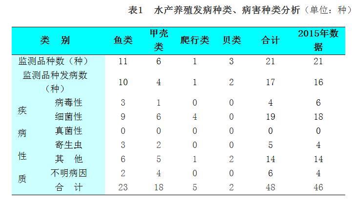 六合资面料大全