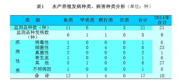 六合资面料大全