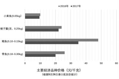 六合资面料大全