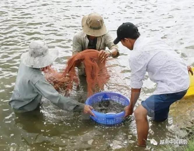 六合资面料大全