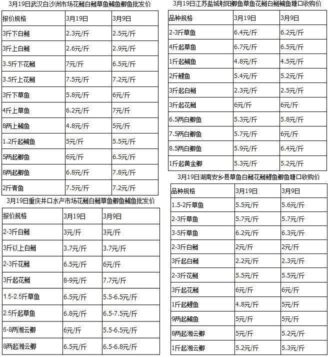 六合资面料大全