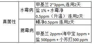 六合资面料大全