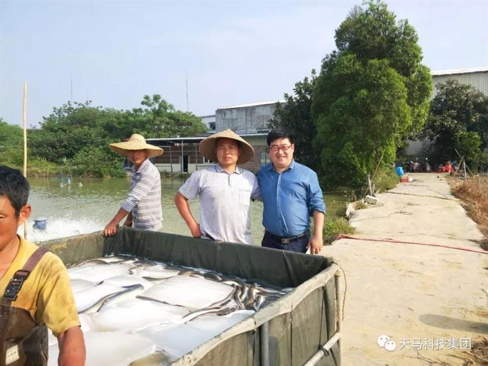 六合资面料大全