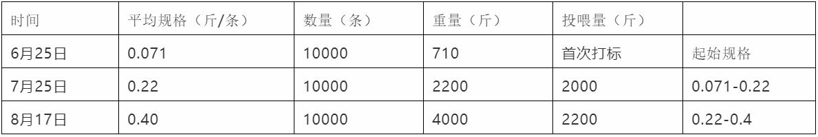 六合资面料大全