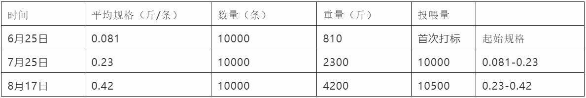 六合资面料大全