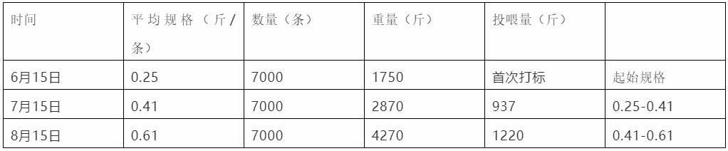 六合资面料大全