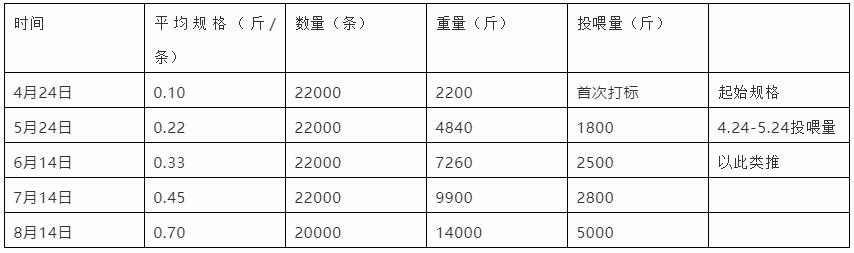 六合资面料大全