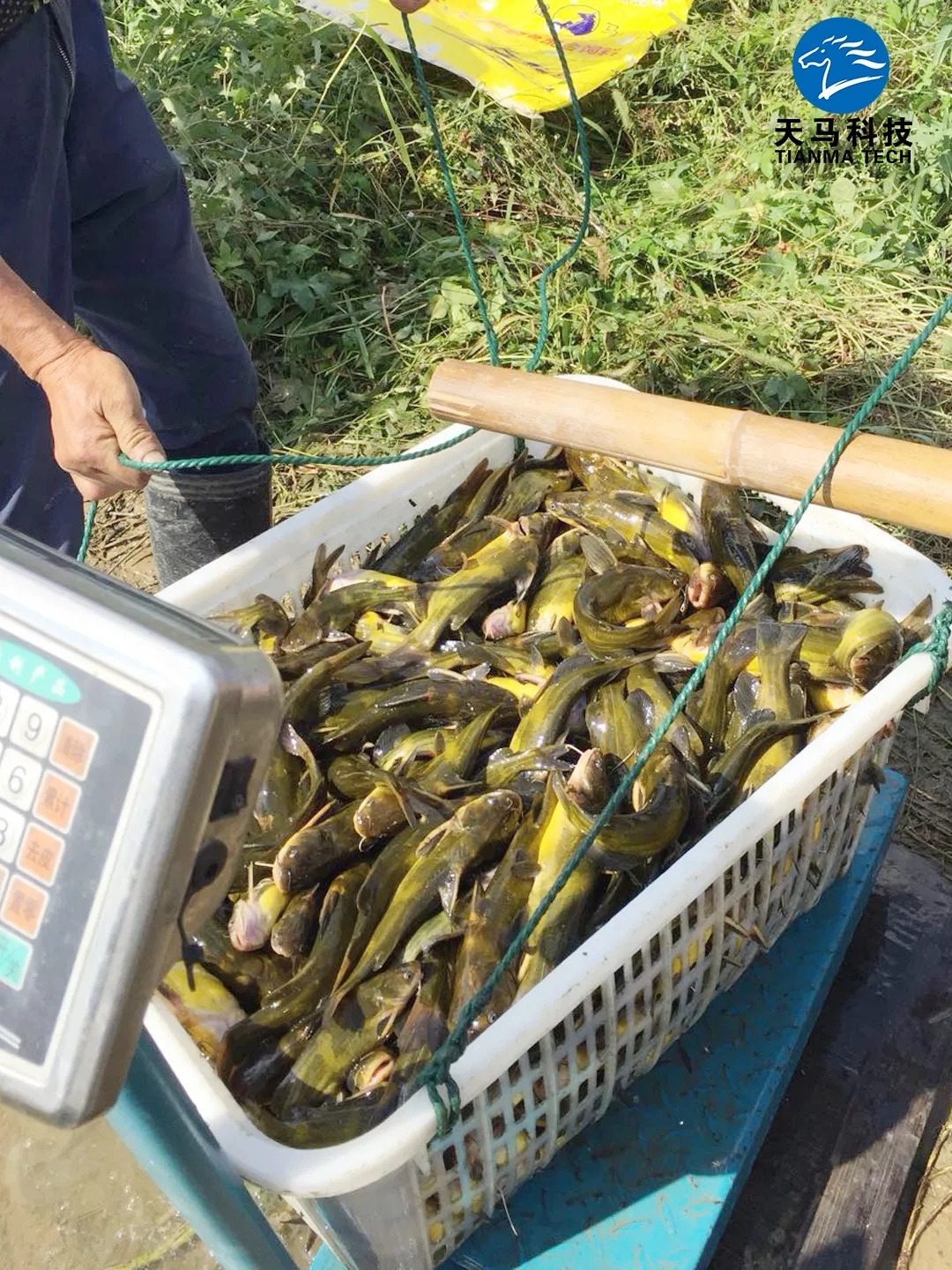 六合资面料大全