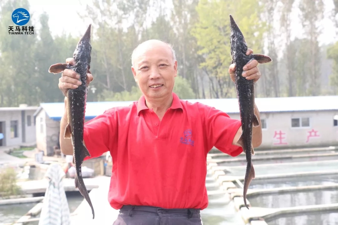 六合资面料大全