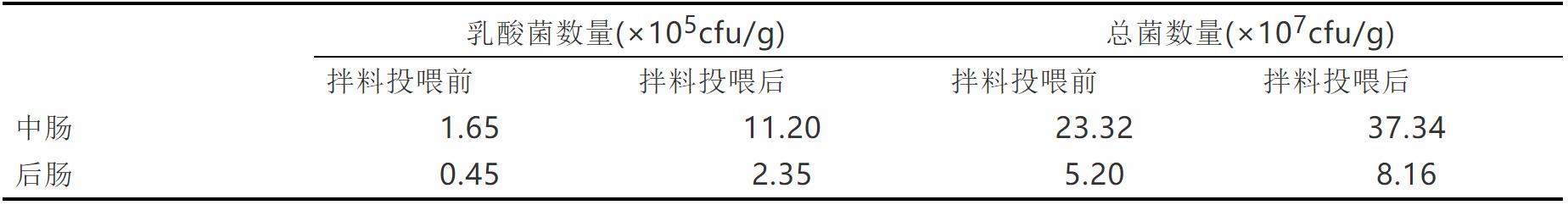 六合资面料大全