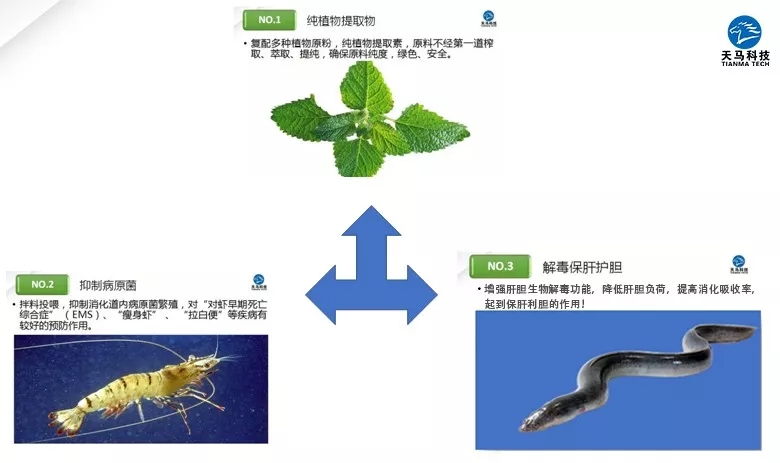 六合资面料大全