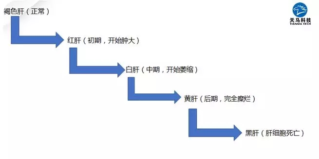 六合资面料大全