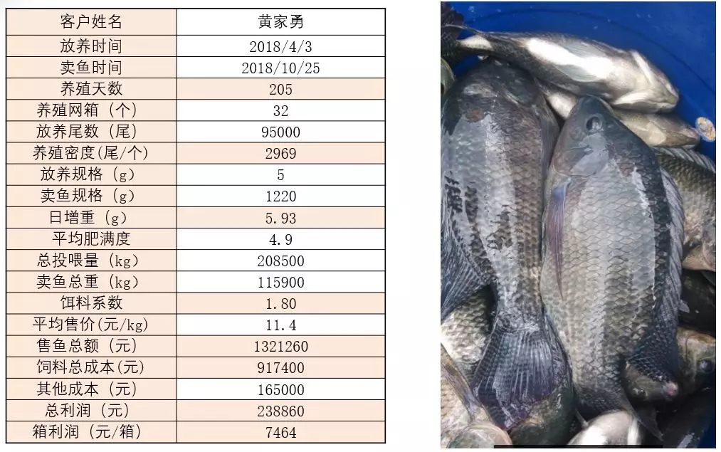 六合资面料大全