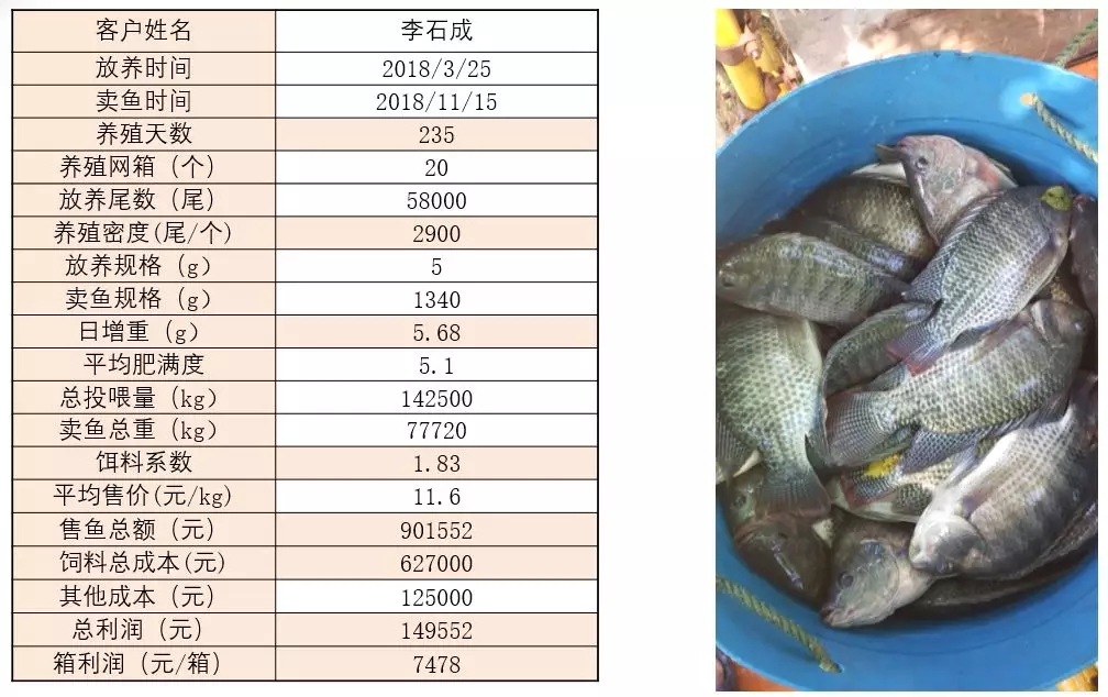 六合资面料大全