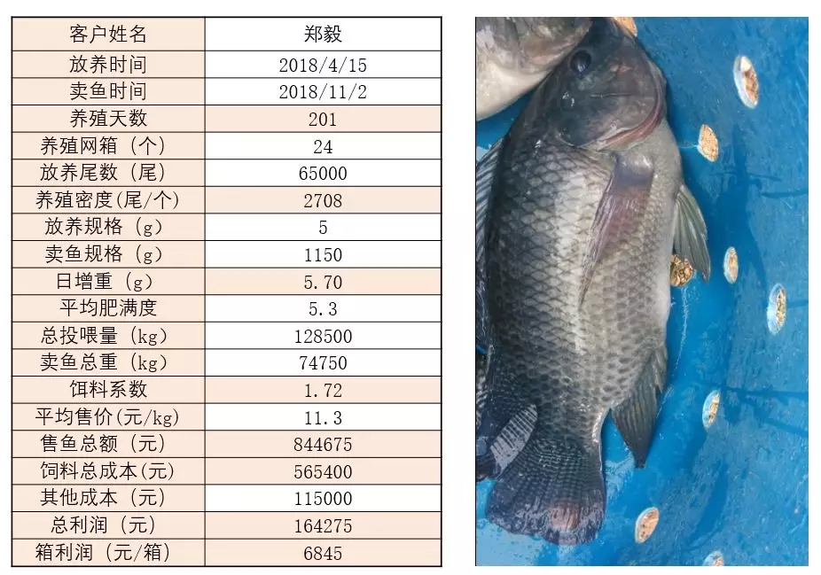 六合资面料大全