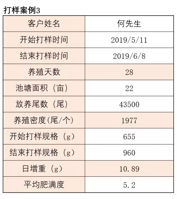 六合资面料大全