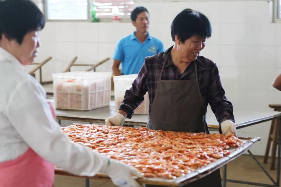 六合资面料大全