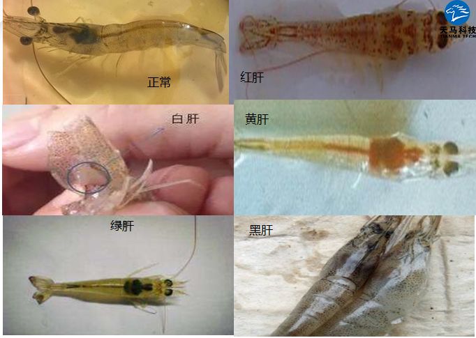 六合资面料大全