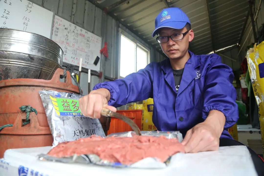 六合资面料大全