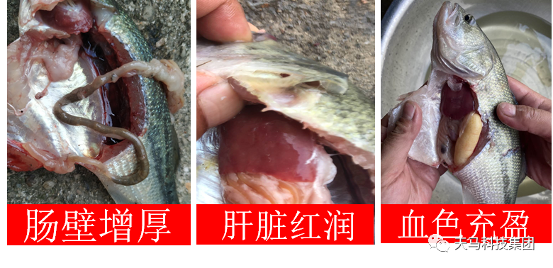 六合资面料大全