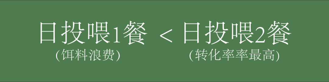 六合资面料大全