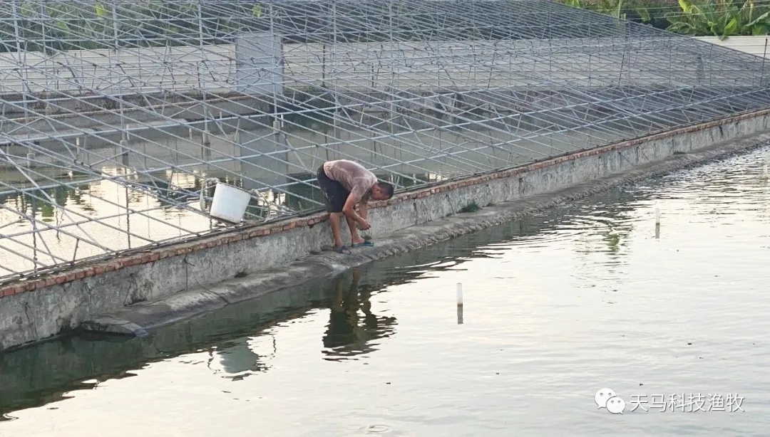 六合资面料大全