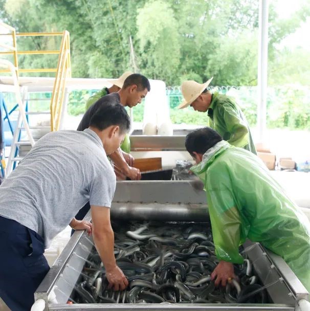 六合资面料大全